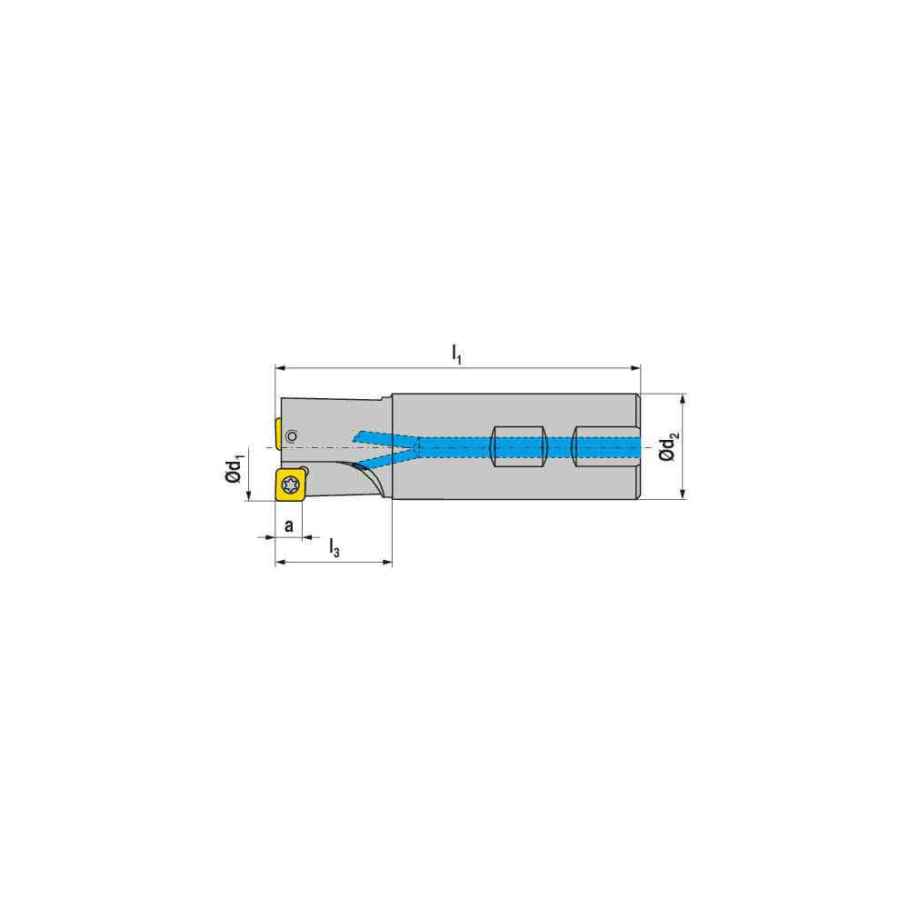 Indexable Square-Shoulder End Mill:  C490.32.R.03-12-B-40,  32.0000'' Shank Dia,  Weldon Flat Shank Uses  3,  Normal Pressure,  101.00 mm OAL