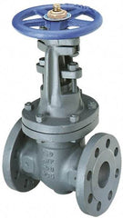 NIBCO - 12" Pipe, Class 250, Flanged Iron Solid Wedge OS & Y Gate Valve - 500 WOG, 250 WSP, Bolted Bonnet - Caliber Tooling