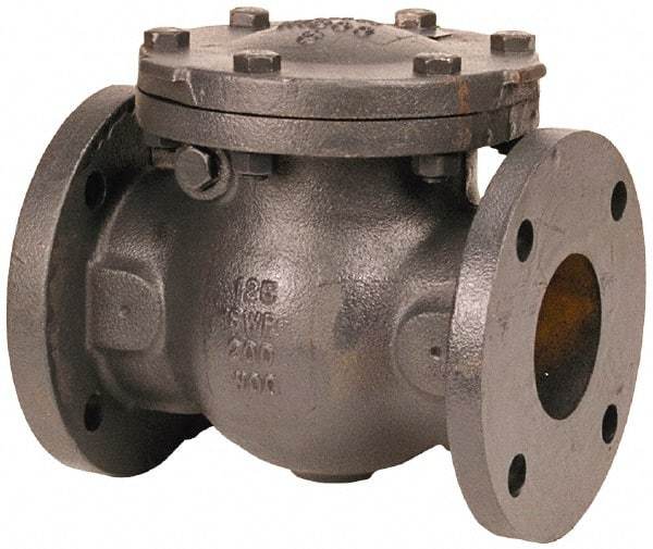 NIBCO - 5" Cast Iron Check Valve - Flanged, 200 WOG - Caliber Tooling