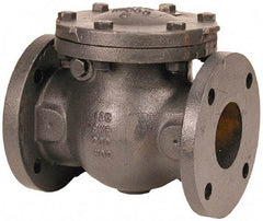 NIBCO - 10" 3% Nickel Check Valve - Flanged, 200 WOG - Caliber Tooling