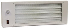 TPI - 22-3/4" Long, 580 BTU Radiant Heat Panel - 120 Volts, 170 Watts - Caliber Tooling