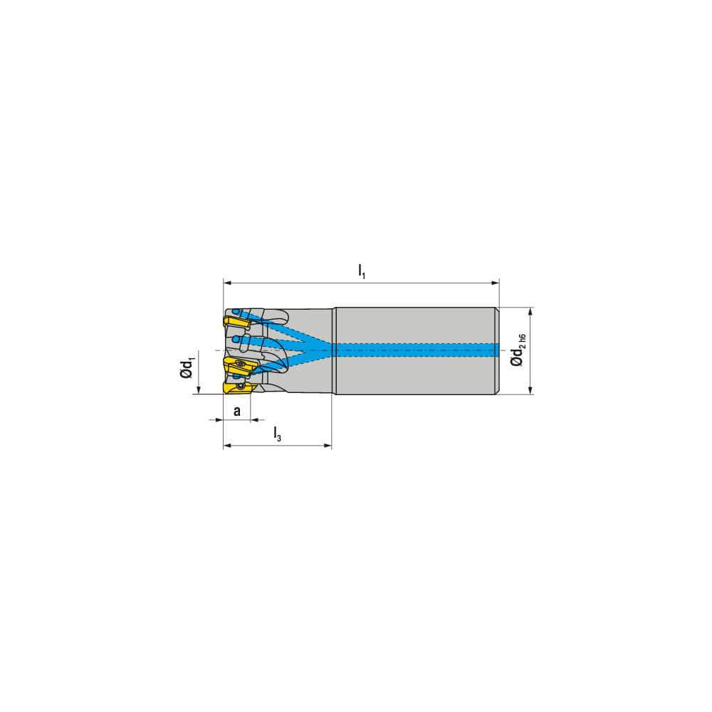 Indexable Square-Shoulder End Mill:  C211.25.R.0507A2050225,  20.0000'' Shank Dia,  Cylindrical Shank Uses  5,  Normal Pressure,  225.00 mm OAL