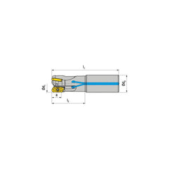 Indexable Square-Shoulder End Mill:  CHSC.100.R.0219A200EF,  1.0000'' Cut Dia,  0.7090'' Max Depth of Cut,  1.0000'' Shank Dia,  Cylindrical Shank Uses  2,  Normal Pressure,