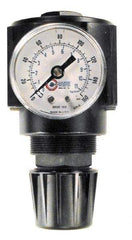 Coilhose Pneumatics - 1/2 NPT Port, 120 CFM, Cast Aluminum Standard Regulator - 0 to 60 psi Range, 250 Max psi Supply Pressure, 1/4" Gauge Port Thread, 2-3/4" Wide x 5-1/2" High - Caliber Tooling