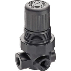 Compressed Air Regulator: 1/4″ NPT, 300 Max psi 3″ OAH