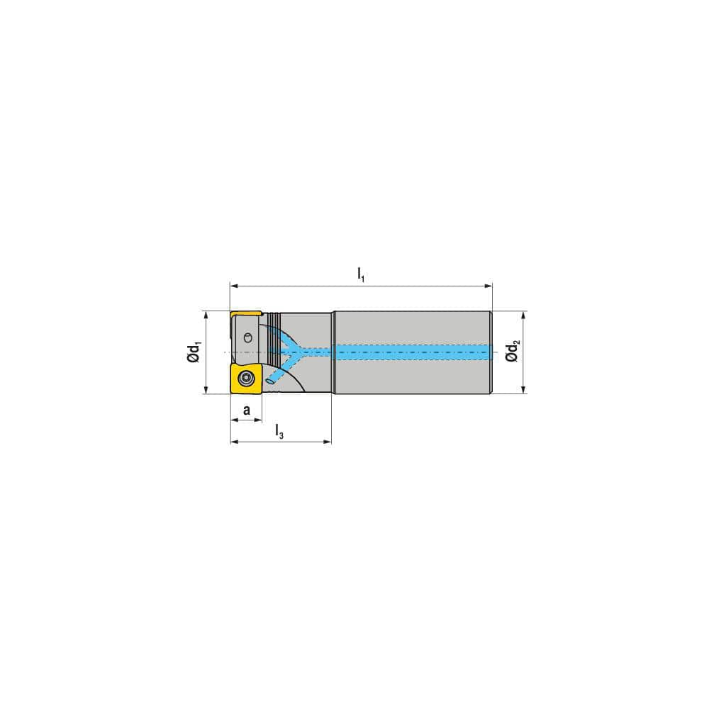 Indexable Square-Shoulder End Mill:  C491.32.R.0212A63250,  32.0000'' Shank Dia,  Cylindrical Shank Uses  2,  Normal Pressure,  250.00 mm OAL