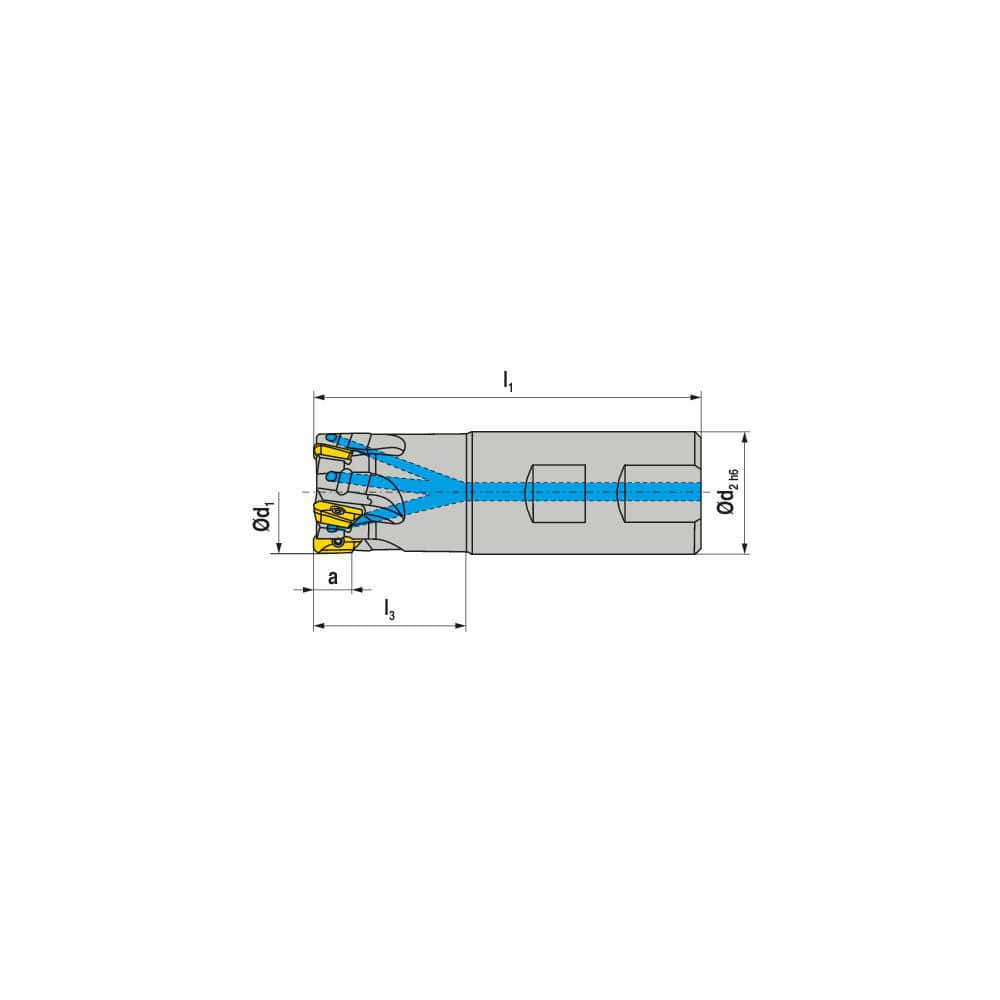 Indexable Square-Shoulder End Mill:  C211.100.R.0411B125EF,  1.0000'' Cut Dia,  0.3940'' Max Depth of Cut,  1.0000'' Shank Dia,  Weldon Flat Shank Uses  4,  Normal Pressure,