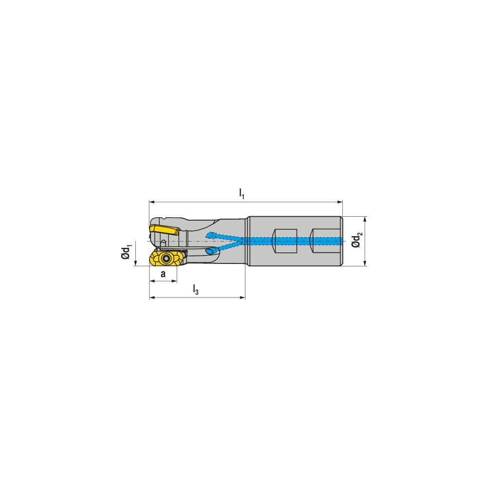 Indexable Square-Shoulder End Mill:  CHSC.32.R.03-19,  32.0000'' Shank Dia,  Cylindrical Shank Uses  3,  Normal Pressure,  125.00 mm OAL