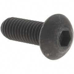 Value Collection - M5x0.80 Hex Socket Button Cap Screw - Caliber Tooling