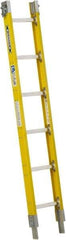 Werner - 6' High, Type I Rating, Fiberglass Extension Ladder - 250 Lb Capacity - Caliber Tooling