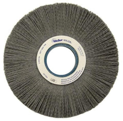 Weiler - 8" OD, 2" Arbor Hole, Crimped Nylon Wheel Brush - 1" Face Width, 2-1/4" Trim Length, 0.022" Filament Diam, 3,600 RPM - Caliber Tooling