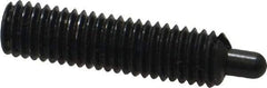 Jergens - M5 x 0.8, 19mm Thread Length, 3mm Plunger Projection, Steel Threaded Spring Plunger - 2.36mm Max Plunger Diam, 19mm Plunger Length, 1.31 Kg Init End Force, 5 Kg Final End Force, 2.5mm Hex - Caliber Tooling