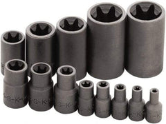 SK - 13 Piece 1/4, 3/8 & 1/2" Drive Standard Socket Set - 6 Points, E4 to E24 Torx, Torx Measurement Standard - Caliber Tooling