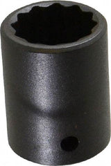 Proto - 1/2" Drive 7/8" Standard Impact Socket - 12 Points, 1-5/8" OAL - Caliber Tooling