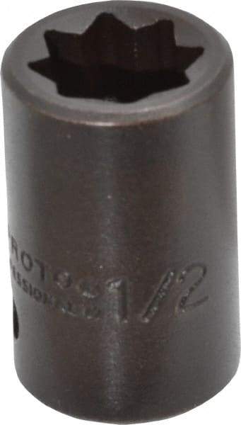 Proto - 1/2" Drive 1/2" Standard Impact Socket - 8 Points, 1-1/2" OAL - Caliber Tooling