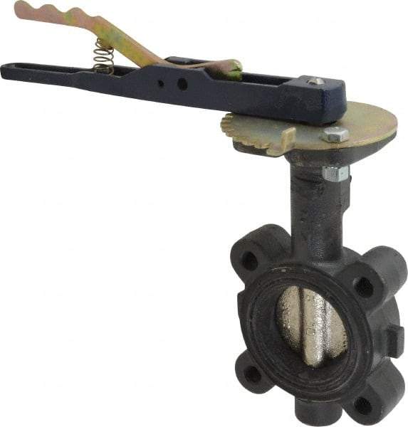 NIBCO - 2" Pipe, Lug Butterfly Valve - Lever Handle, Ductile Iron Body, EPDM Seat, 250 WOG, Ductile Iron Disc, Stainless Steel Stem - Caliber Tooling