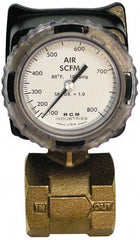 Made in USA - 2" NPT Port RCM Industries Flo-Gage Flowmeter - 180 Max psi, Bronze - Caliber Tooling