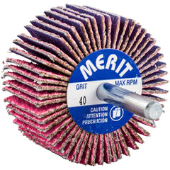 Merit Abrasives - Mounted Flap Wheels Abrasive Type: Coated Outside Diameter (Inch): 2 - Caliber Tooling