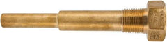 Winters - 6-3/4 Inch Overall Length, 3/4 Inch Thread, Brass Thermowell - 5 Inch Insertion Length - Caliber Tooling