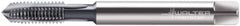 Walter-Prototyp - M10x1.50 Metric, 3 Flute, TiCN Finish, Powdered Metal Spiral Point Tap - Plug Chamfer, Right Hand Thread, 100mm OAL, 20mm Thread Length, 10mm Shank Diam, 6HX Class of Fit, Series 2021616 - Exact Industrial Supply