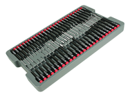 51PC PRECISION DRIVERS TRAY SET - Caliber Tooling