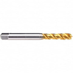 Spiral Flute Tap: M3 x 0.50, Metric, 2-3 P, 6HX Class of Fit, Powdered Metal & High Speed Steel, TiN Finish Right Hand Flute, Right Hand Thread, D3