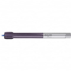 Emuge - Extension Taps Thread Size: M42x4.5 Overall Length (mm): 340.00 - Caliber Tooling