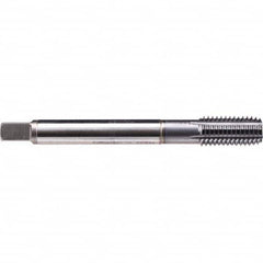 Emuge - Thread Forming STI Taps Thread Size (Inch): 1/4-28 Class of Fit: 2B - Caliber Tooling