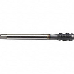 Emuge - M14x1.50 Metric Fine 6H 0 Flute TiCN Finish Powdered Metal Machine Tap - Caliber Tooling