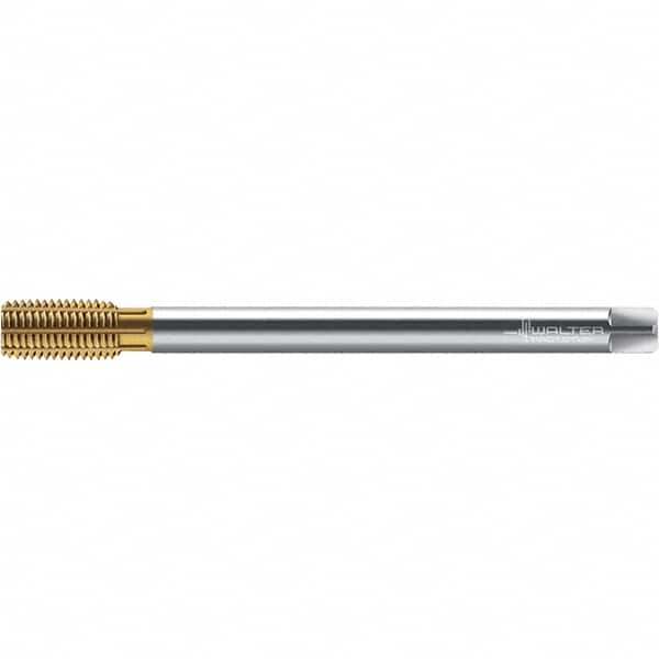 Walter-Prototyp - M8x1.25 ~DIN 376 XL 6HX 7.480 Thread Limit Semi-Bottoming Thread Forming Tap - Powdered Metal High Speed Steel, TiN Finish, 180mm OAL, 13mm Thread Length, Right Hand Thread, Series TC420 - Caliber Tooling