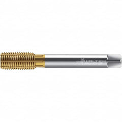 Walter-Prototyp - M8x1.00 DIN 2174 6HX 7.590 Thread Limit Semi-Bottoming Thread Forming Tap - Powdered Metal High Speed Steel, TiN Finish, 90mm OAL, 12mm Thread Length, Right Hand Thread, Series TC420 - Caliber Tooling