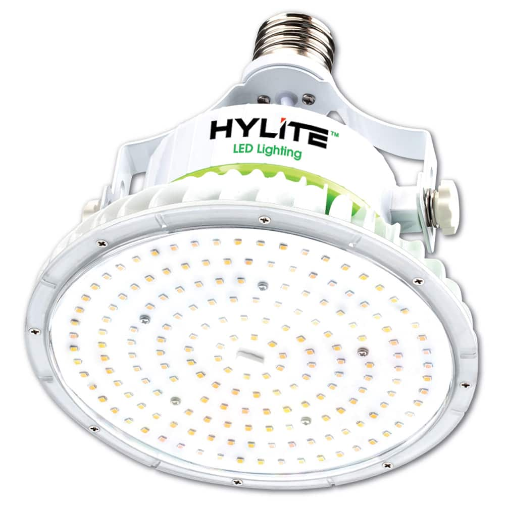 Hylite LED - Lamps & Light Bulbs Lamp Technology: LED Lamps Style: Commercial/Industrial - Caliber Tooling