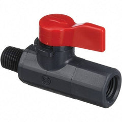 Asahi/America - 1/4" Pipe, Full Port, PVC Ball Valve - 1 Piece, MNPT x FNPT Ends, Tee Handle, 150 WOG - Caliber Tooling