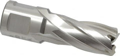 Hougen - 5/8" Diam x 1" Deep High Speed Steel Annular Cutter - Caliber Tooling