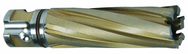 13/16 X 2 CARBIDE CUTTER - Caliber Tooling