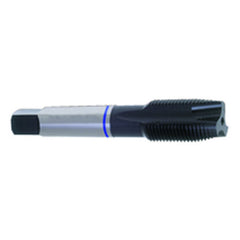 ‎M3.5 × 0.60 Dia-D4-2 FL-Std Spiral Point Tap-Blue Ring - Caliber Tooling