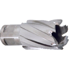 ‎5/8″ Dia-3/4″ Max Depth of Cut - M42 - Annual Cutter - Caliber Tooling