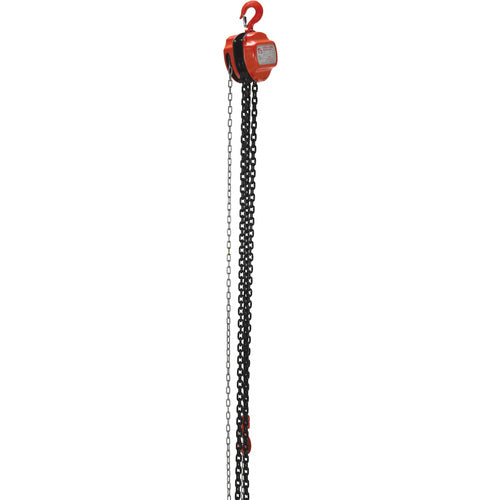 Manual Chain Hoist 3K Capacity 20 Ft - Exact Industrial Supply