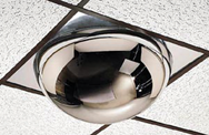 22" Dome- 2x4' 360° Drop-In Ceiling Mount - Safety Mirror - Caliber Tooling