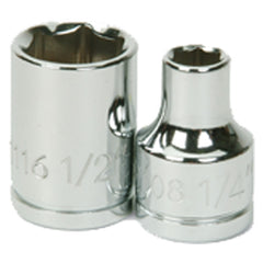 13/16″-1/2″ Drive-12 Point - Standard Socket - Caliber Tooling