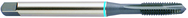 1/2-13 Dia. - H5 - 3 FL - Spiral Point Plug Super HSS DIN OAL ANSI Shank Hardslick Tap - Caliber Tooling