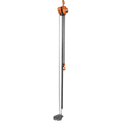 Professional Chain Hoist 2K 15 Ft - Exact Industrial Supply