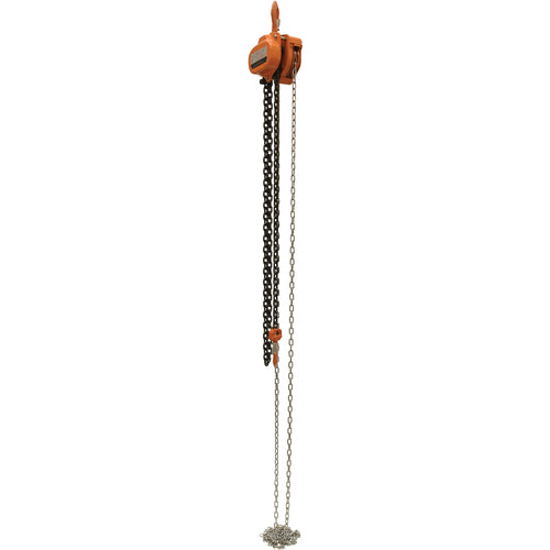 Professional Chain Hoist 3K 10 Ft - Exact Industrial Supply