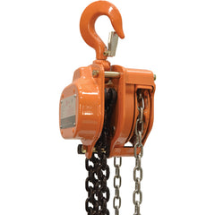 Professional Chain Hoist 3K 20 Ft - Exact Industrial Supply