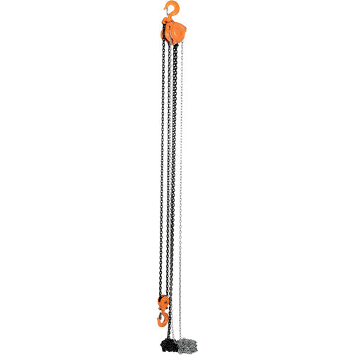 Professional Chain Hoist 6K 20 Ft - Exact Industrial Supply