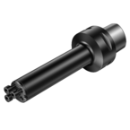 C3-SL-3C 25 125 Coromant Capto® to CoroTurn® SL dampened adapter - Caliber Tooling