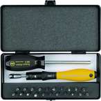 ESD TorqueVario-S Handle 15-80 in oz Micro Bit 24 Piece Set In Storage Box - Caliber Tooling