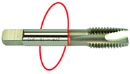 3/4-16 Dia. - H3 - 3 FL - Std Spiral Point Tap - Red Ring - Caliber Tooling